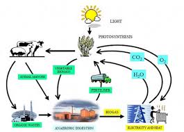 Công nghệ khí sinh học